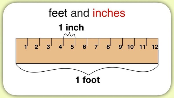 1 feet bằng bao nhiêu cm